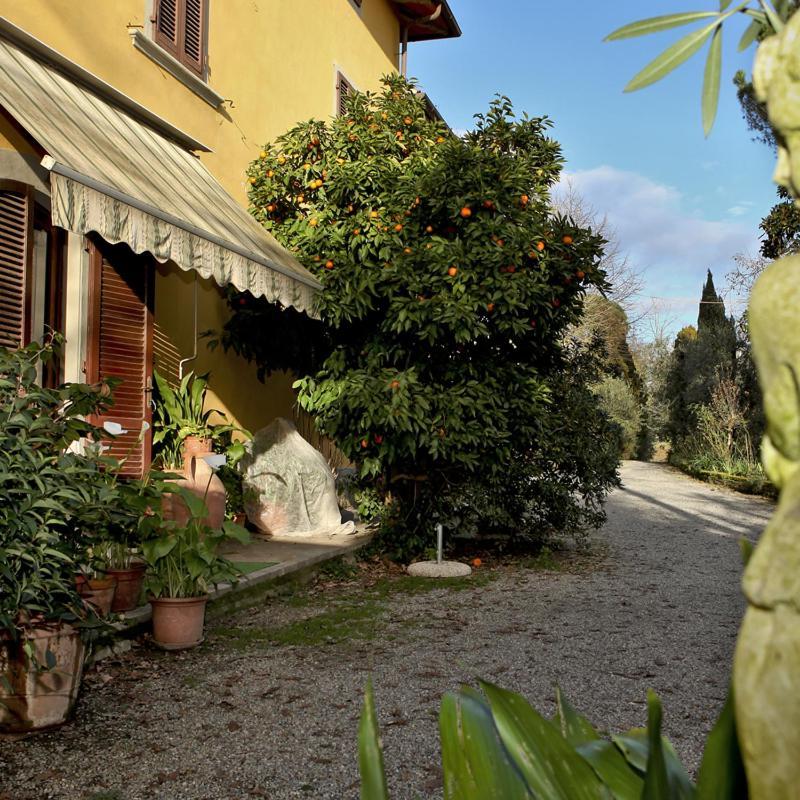 Agriturismo Il Poggetto Torre Eksteriør billede