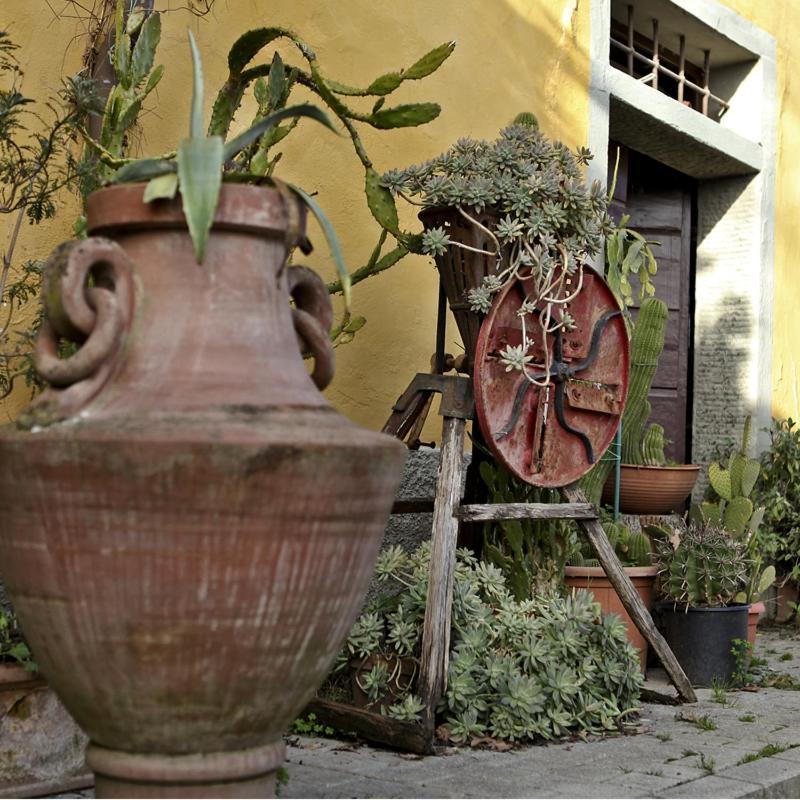 Agriturismo Il Poggetto Torre Eksteriør billede